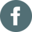 Facebook link logo